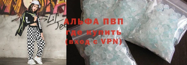 СК Алексин
