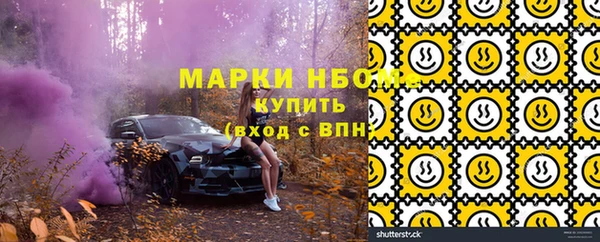 СК Алексин
