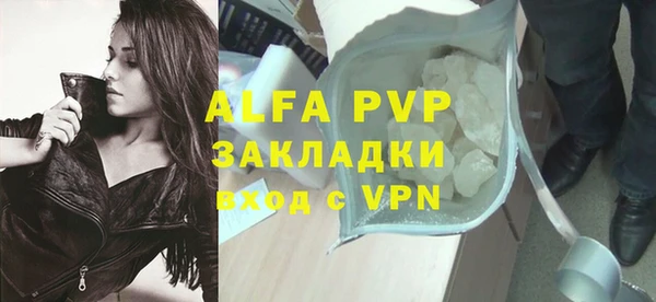 СК Алексин