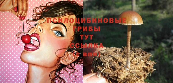 СК Алексин