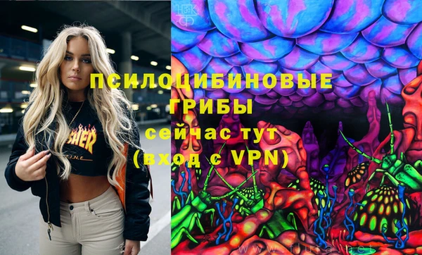 винт Алзамай