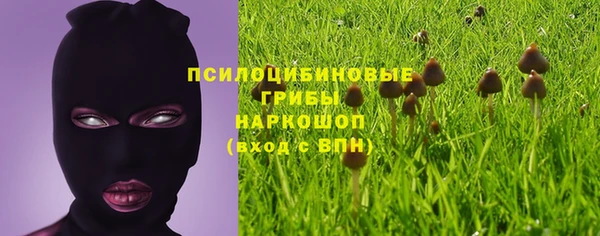 винт Алзамай