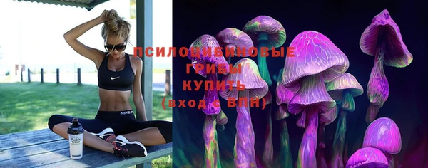 СК Алексин