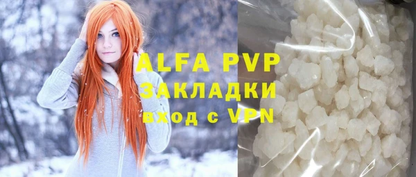 СК Алексин