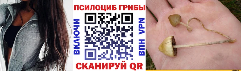 Псилоцибиновые грибы Psilocybine cubensis  наркота  Первоуральск 