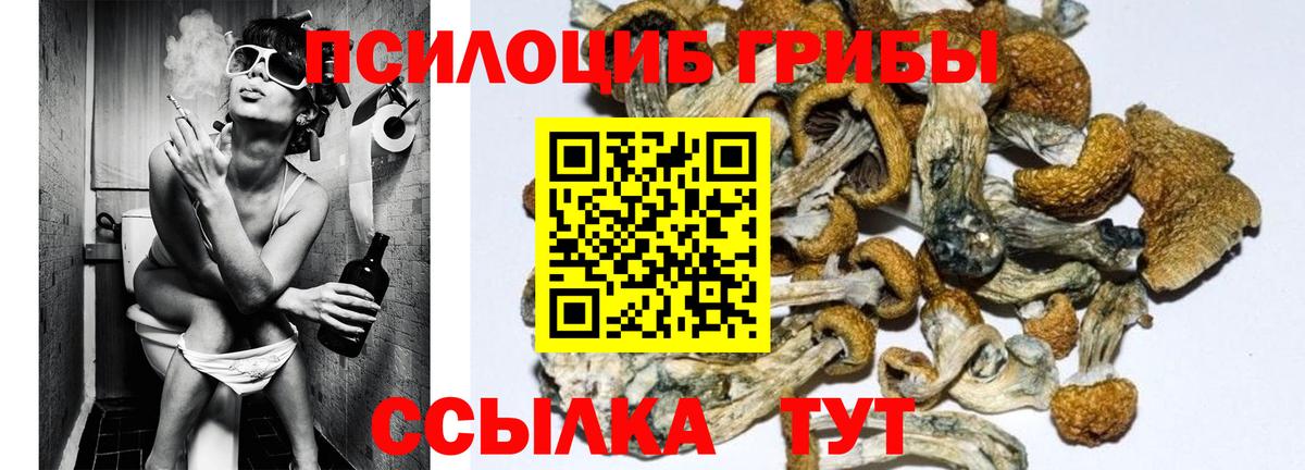 Псилоцибиновые грибы Psilocybine cubensis Первоуральск