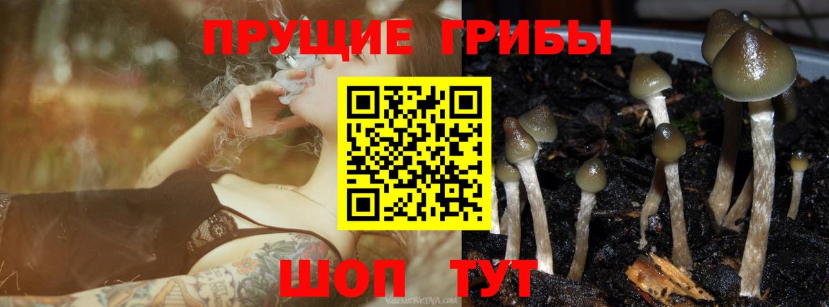 Галлюциногенные грибы Psilocybe  Вход с VPN  цена наркотик  Первоуральск 